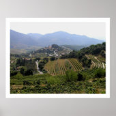 Poster Suzette, France (Devant)