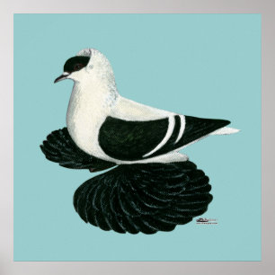 Poster Swallow Pigeon Saxon Black White Bar
