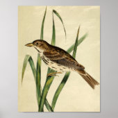 Poster Swallow vintage (Devant)