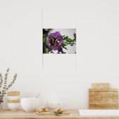 Poster - Swallowtail Butterfly (Keuken)