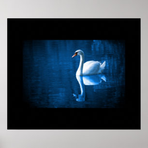 Poster Swan