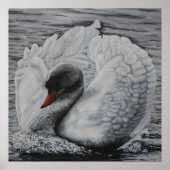 Poster Swan (Devant)