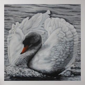 Poster Swan