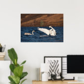 Poster Swan (Bureau à domicile)