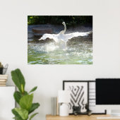 Poster Swan (Bureau à domicile)