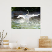 Poster Swan (Cuisine)