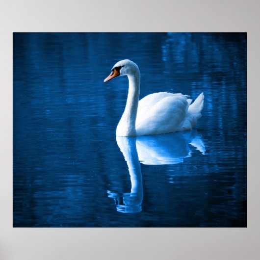 Poster Swan (Voorkant)