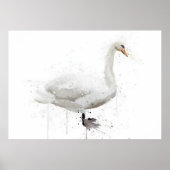 Poster Swan (Devant)