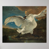 Poster Swan Asselijn (Devant)