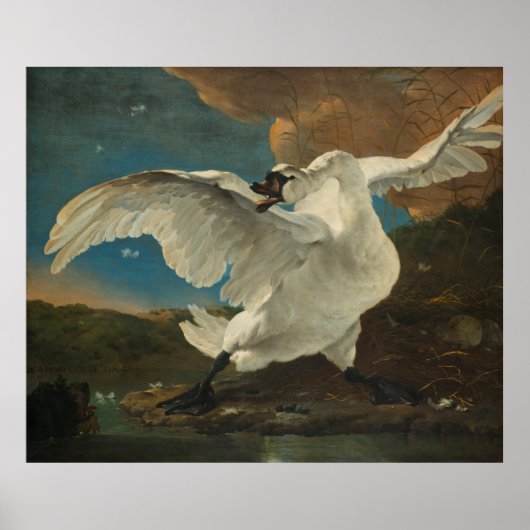 Poster Swan Asselijn (Voorkant)