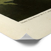 Poster Swan commun américain - Les oiseaux d'Amérique d'A (Coin)