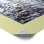 Poster Swan dans l'ombre (Coin)