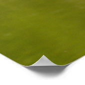 Poster Swan en vol (Coin)