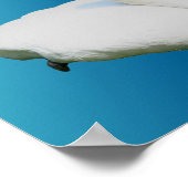 Poster Swan Et Hibiscus Flower Ajouter Votre Texte (Coin)