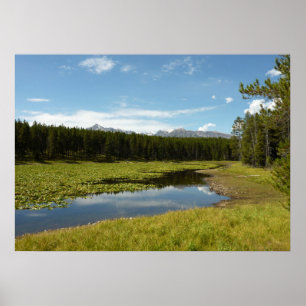 Poster Swan Lake I au Parc national de Grand Teton