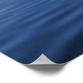 Poster Swan Madison Wisconsin (Coin)