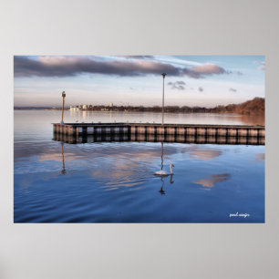 Poster Swan Madison Wisconsin