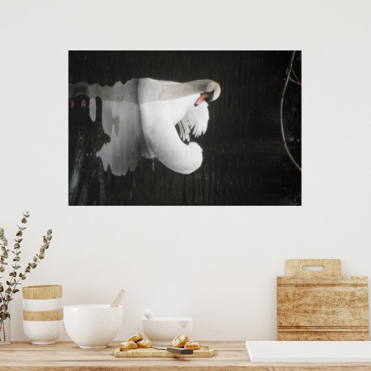 Poster Swan Natation (Cuisine)