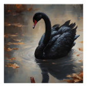 Poster Swan noir no 8 (Devant)