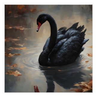 Poster Swan noir no 8