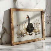 Poster Swan noir parmi les cygnes blancs l'art animal de