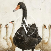 Poster Swan noir parmi les cygnes blancs l'art animal de