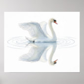 Poster Swan Reflection (Devant)