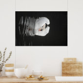 Poster Swan Swimming (Keuken)