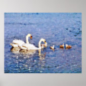 POSTER SWANS (Devant)