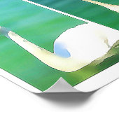 Poster Swans au lac Balaton - triptyque (Coin)