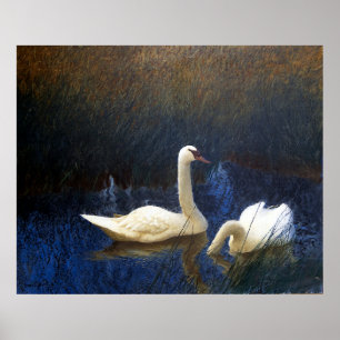 Poster Swans in Reeds (1907)