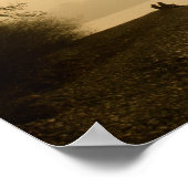 Poster Swans sur un lac (Coin)