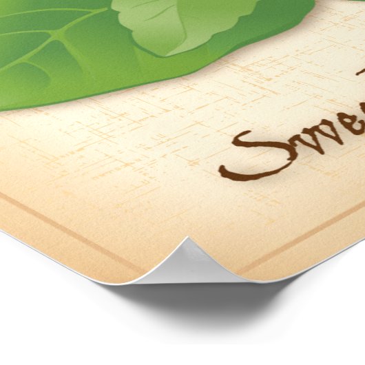 Poster Sweet Basil Herb (Coin)