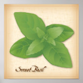 Poster Sweet Basil Herb (Devant)