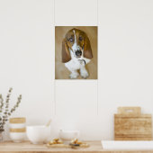 Poster Sweet Bassett Hound (Cuisine)