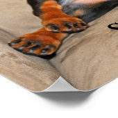 Poster Sweet Dreams (Coin)