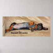 Poster Sweet Dreams (Devant)