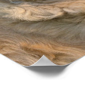 Poster Sweet Golden Retriever (Coin)