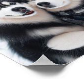 Poster Sweet Huskies (Coin)