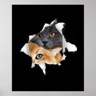 Poster Sweet Kitten Couple | Drôle cadeau Amoureux des ch