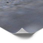 Poster Sweet Kitten Print (Coin)