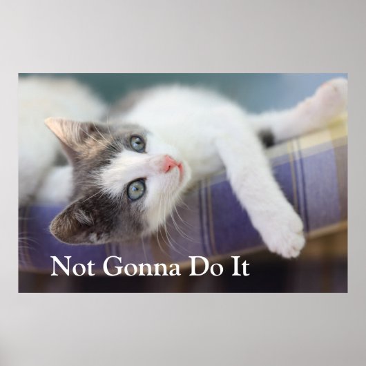Poster Sweet Kitty Dans Lit Plaid (Devant)