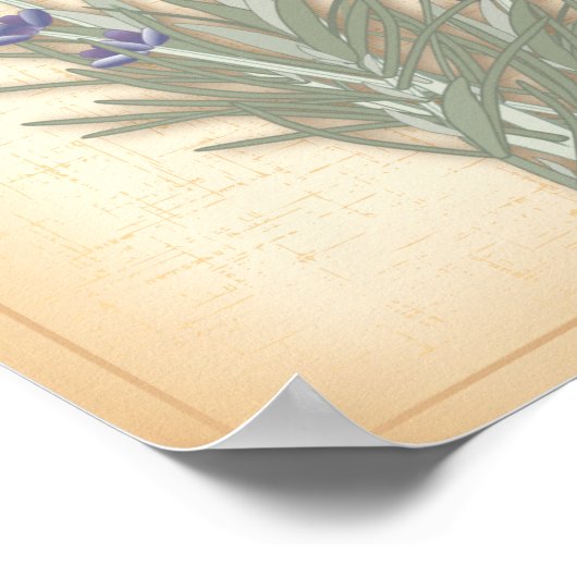 Poster Sweet Lavender (Coin)