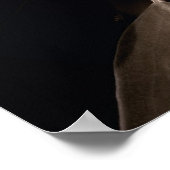 Poster Sweet Magnolia (Coin)