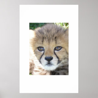 Poster Sweet Novembre