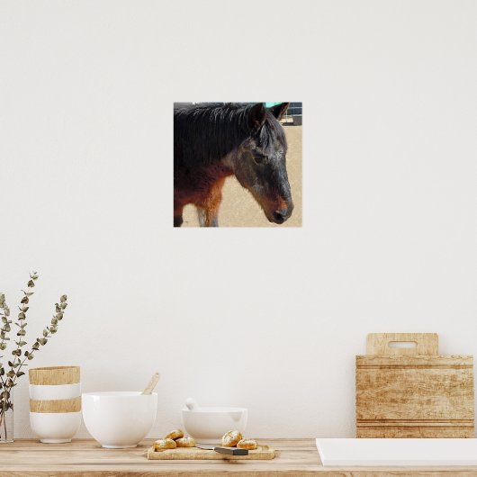 Poster Sweet Old Pony Horse - Chevaux et Ponies (Cuisine)