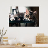 Poster Sweet Tabby (Cuisine)