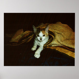 Poster Sweetie en tant que Reine Sweetie