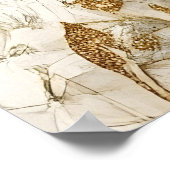 Poster swimming sea turtle surrounded by floral patterns. (Coin)