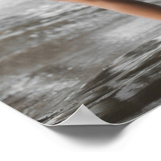 Poster Swimsuit Model Posing Under A Pier (Coin)